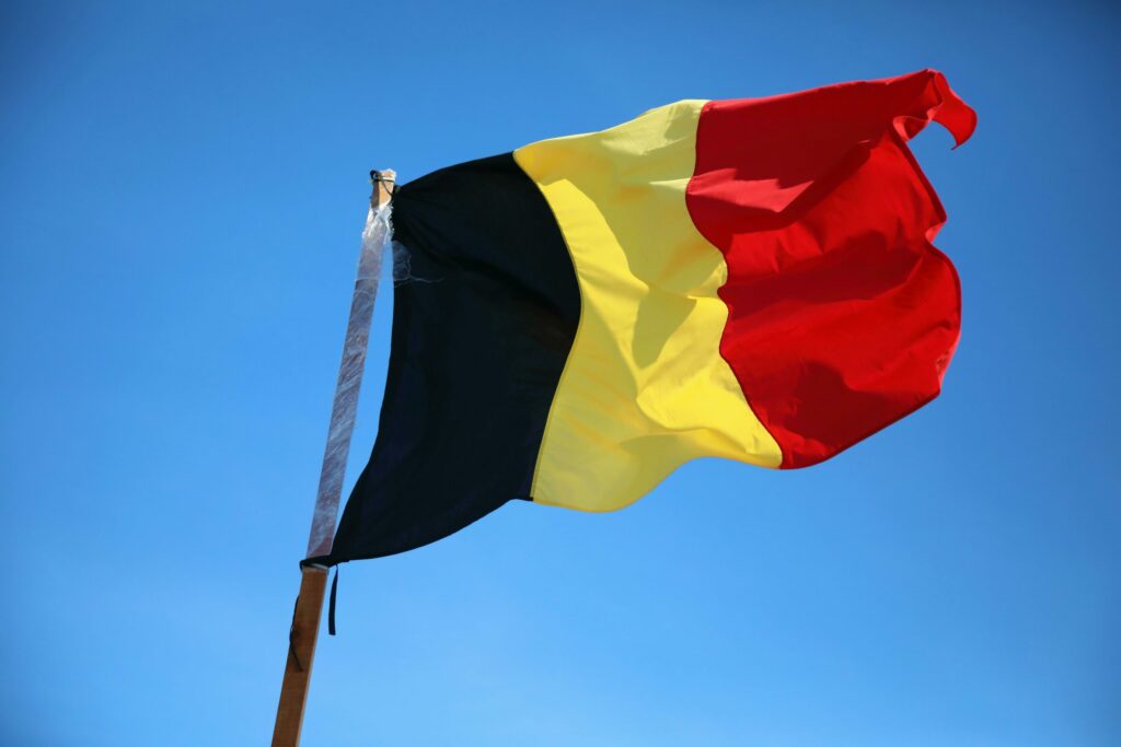 Belgium Professional Expense Deduction