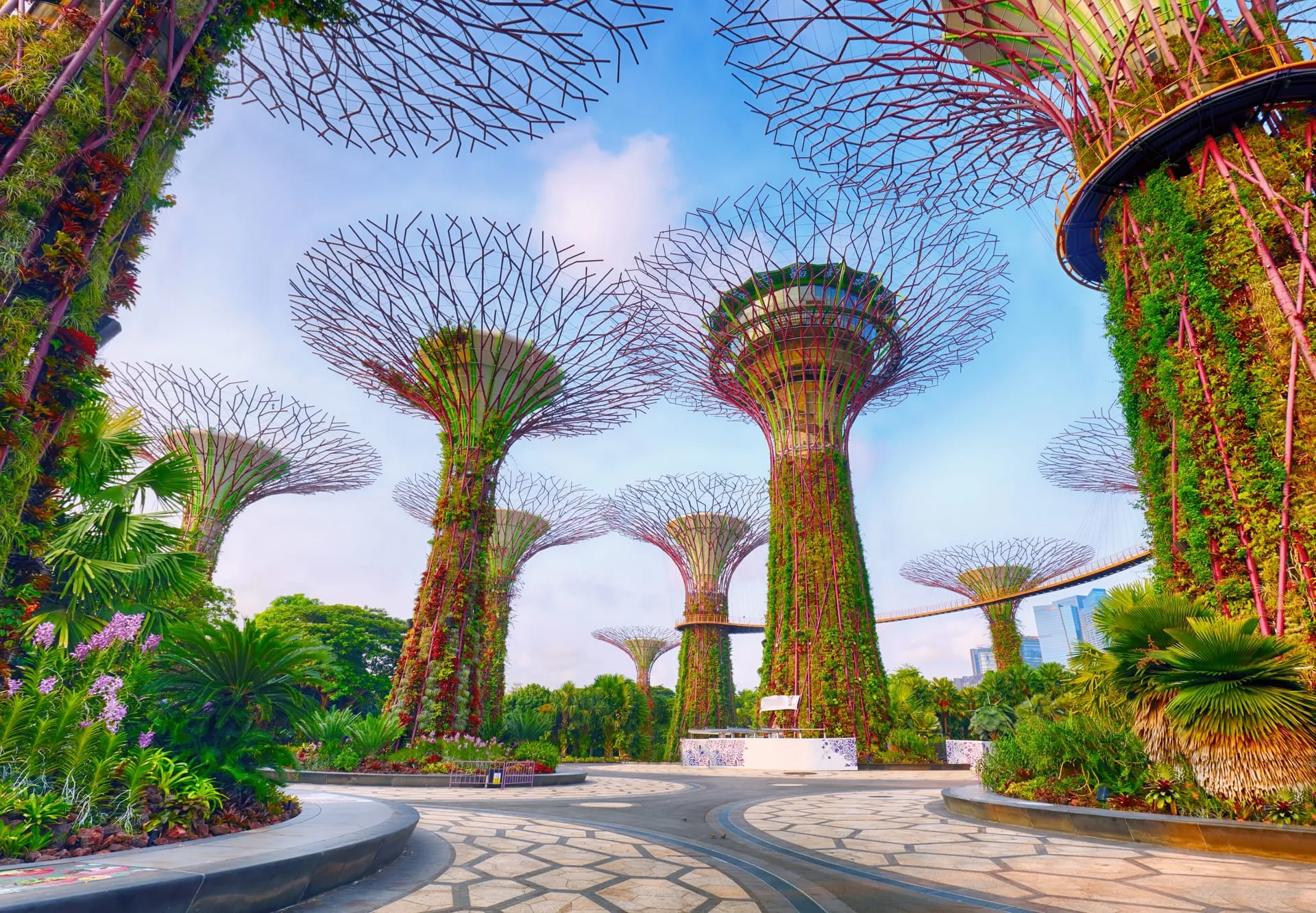 CPF explained: why local and expat pay differ in Singapore