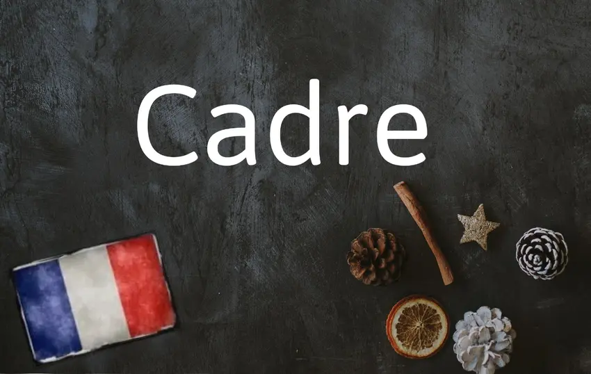 France Cadre Status: What a French Job Title Does to Your Payslip