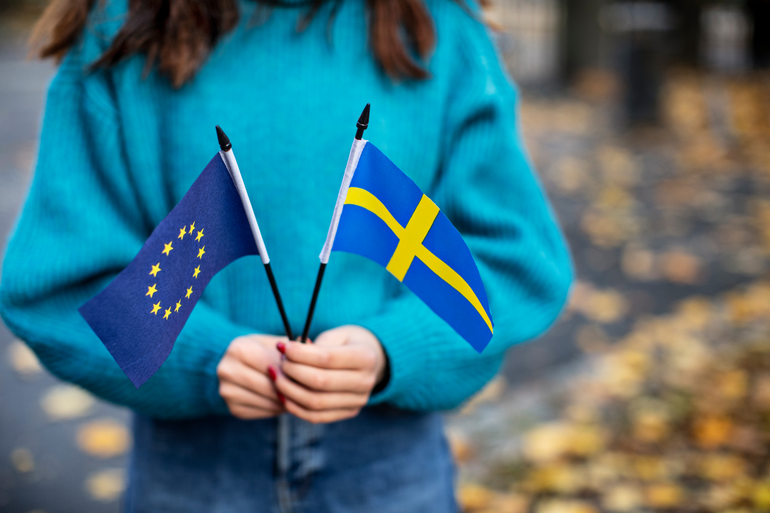Sweden Employer Contributions